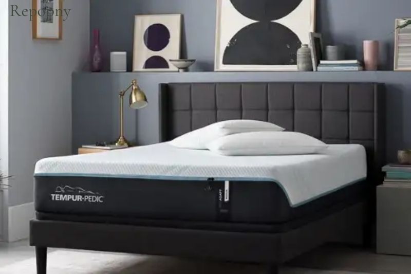 Considerations sleep number bed vs tempurpedic