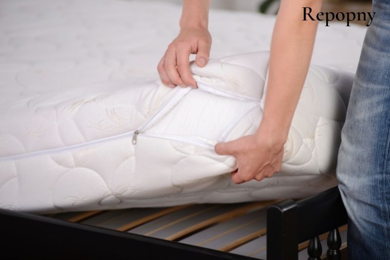 can mattresses be infested with scabies mites