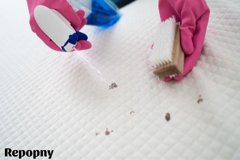 How To Extract Fresh Blood From A Mattress