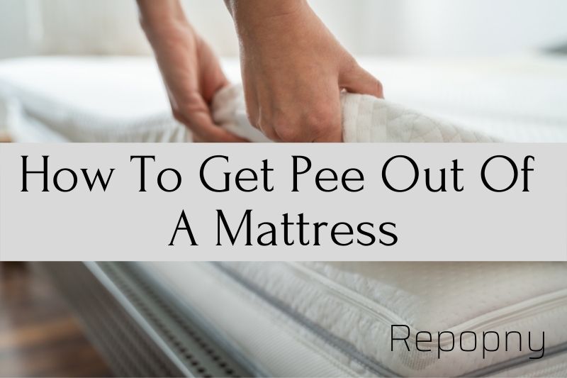 How To Get Pee Out Of A Mattress Top Full Guide 2022