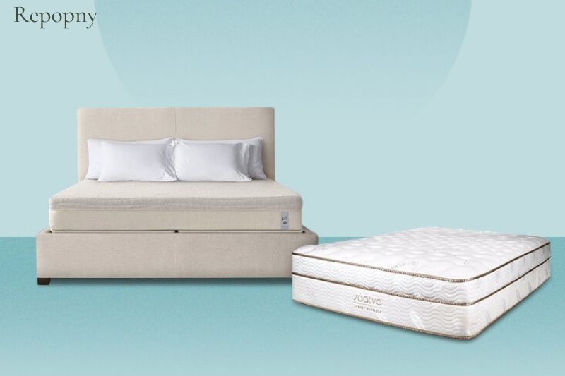 Quick Comparison Tempurpedic and Sleep Number