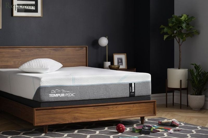 Who Should Buy a Tempur-Pedic Mattress